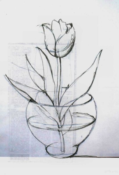 Натюрморт с фруктами карандашом