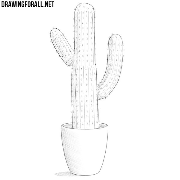 Поэтапное рисование для личного дневника