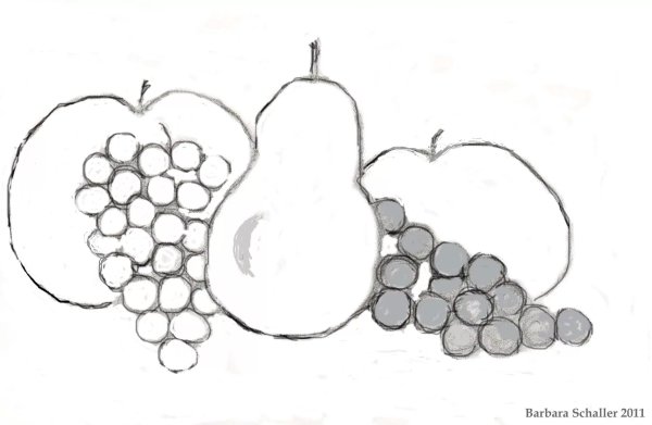 Натюрморт карандашом легкий для начинающих