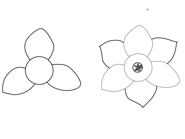 Рисование цветов карандашом для начинающих