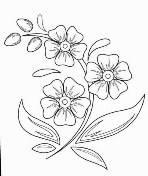 Трафареты цветов для рисования