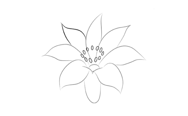 Аленький цветочек рисунок карандашом