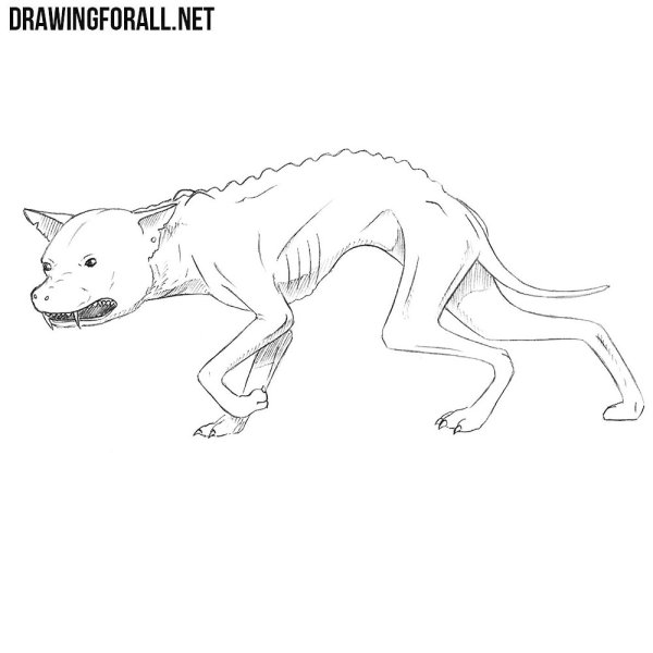 Раскраска чупакабры