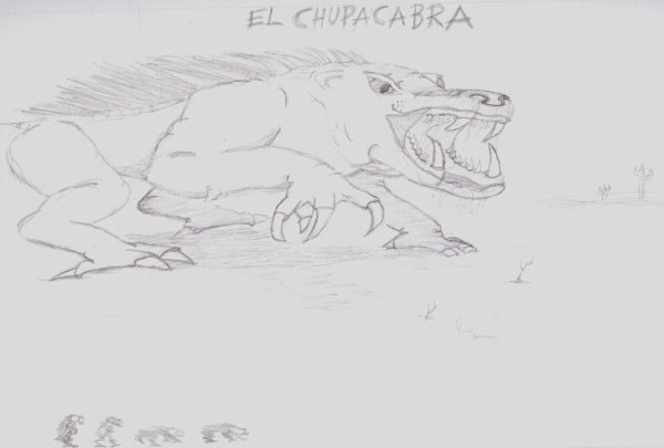 Раскраска чупакабры