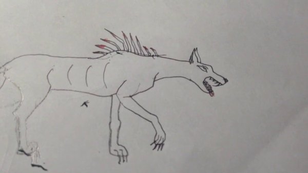 Чупакабра раскраска