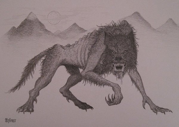 Чупакабра рисунок карандашом