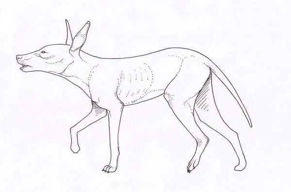 Чупакабра раскраска