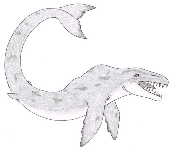 Картинки чупакабры для срисовки