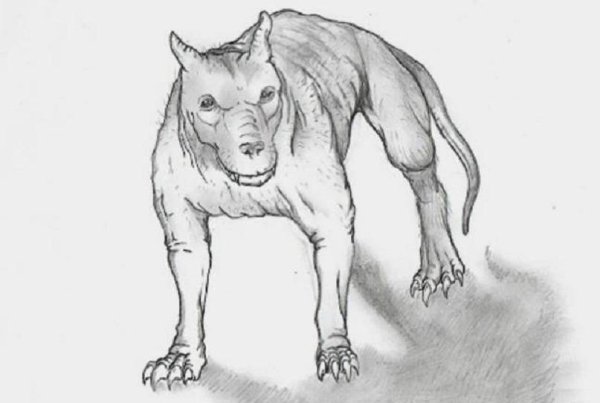 Чупакабра на прозрачном фоне