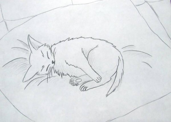 Спящий кот рисунок карандашом