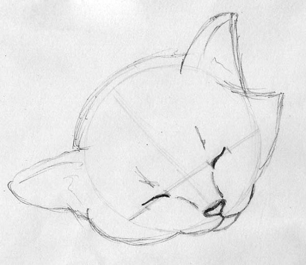 Коты рисунки карандашом для начинающих