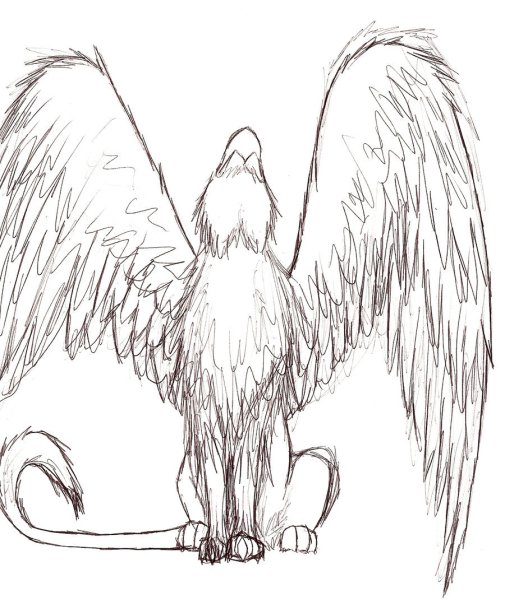 Грифоны для срисовки легкие