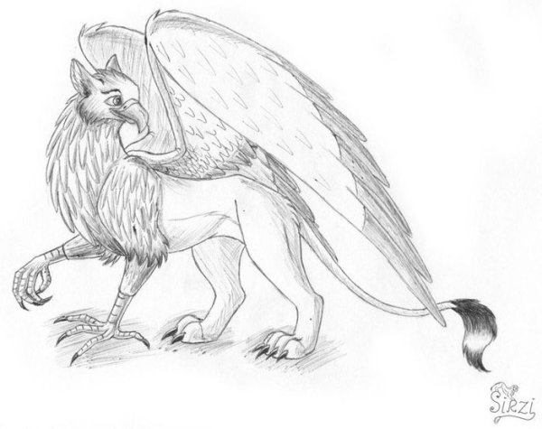 Поэтапное рисование грифона