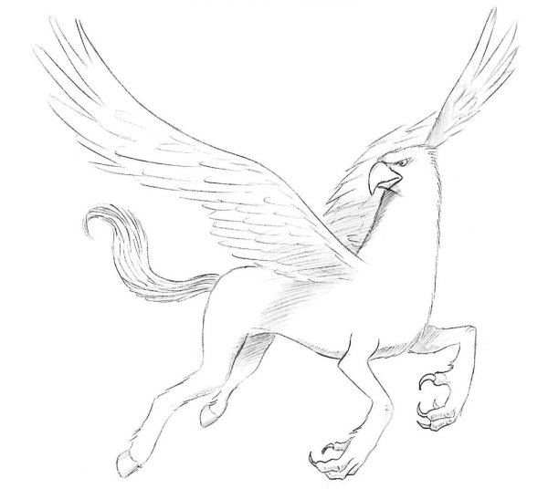Грифон раскраска
