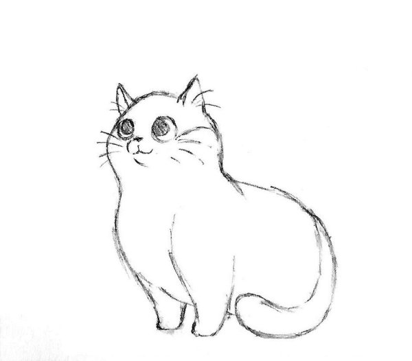 Кот рисунок карандашом для срисовки легкие