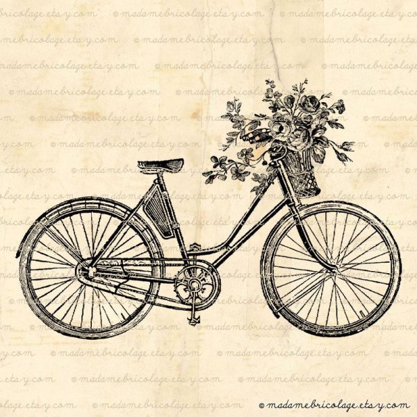 Велосипед гравюра