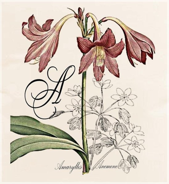 Лёгкие Винтажные рисунки