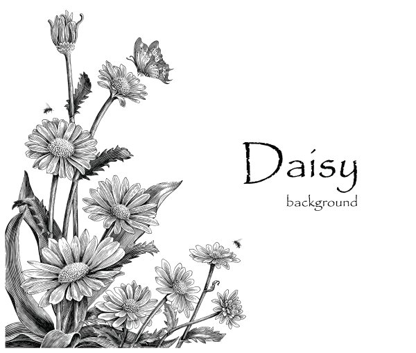 Тату эскиз Daisy надпись