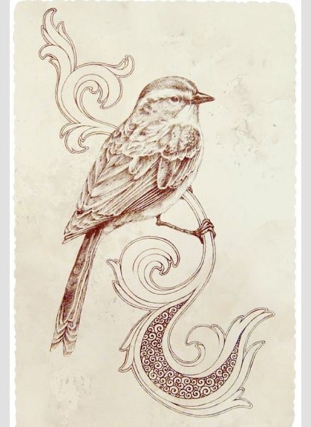 Винтажные рисунки карандашом