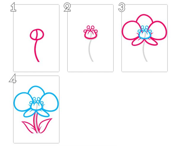 Как рисовать орхидею поэтапно