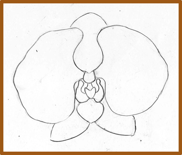 Орхидея поэтапное рисование