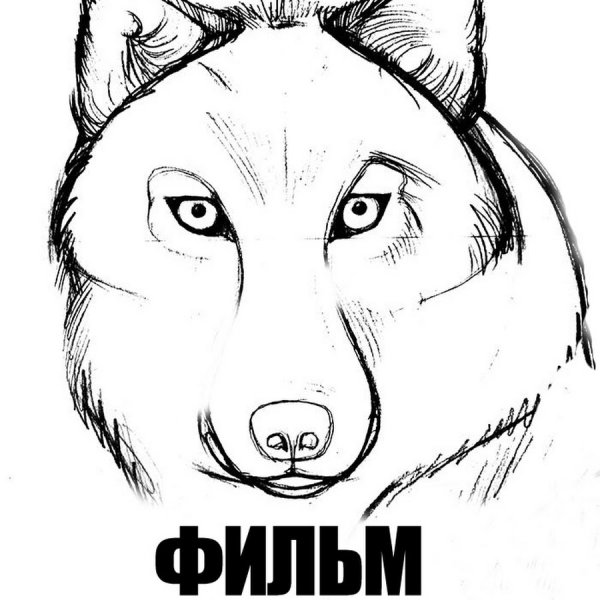 Рисунки Волков карандашом