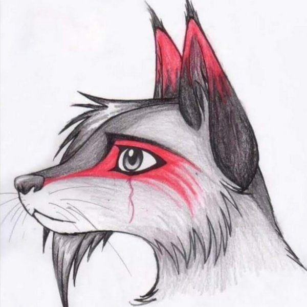 Волк карандашом