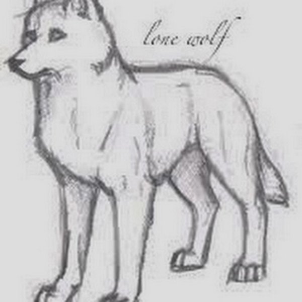 Рисунок волка для срисовки