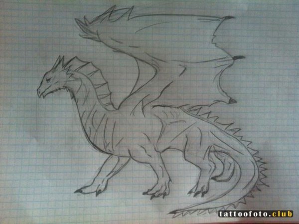 Дракон для срисовки на бумаге