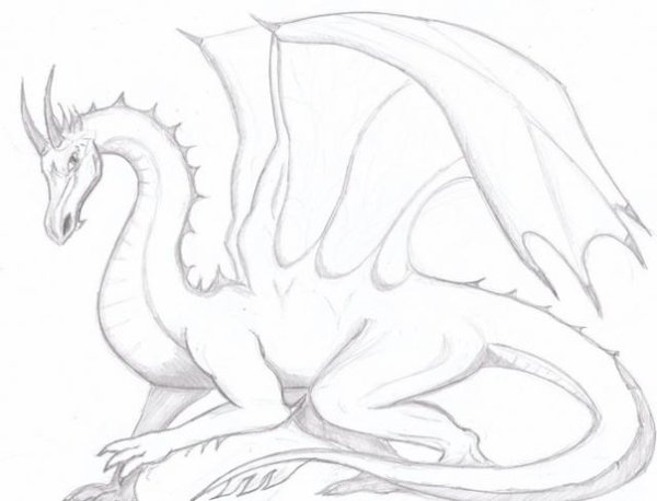 Драконы для срисовки красивые