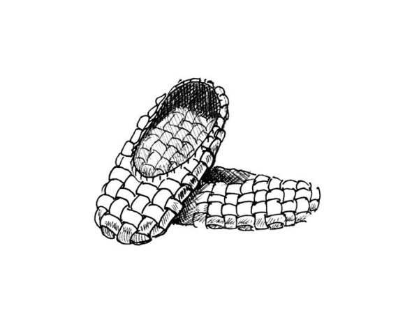 Лапти разукрашка