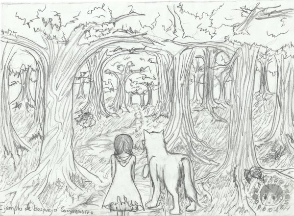 Рисунки для срисовки лес