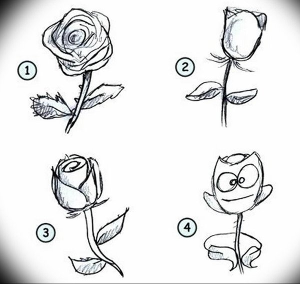 Цветы которые легко рисуются