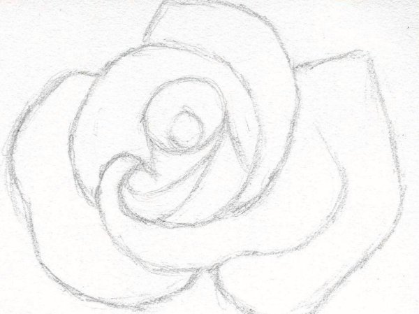 Нарисовать розу карандашом