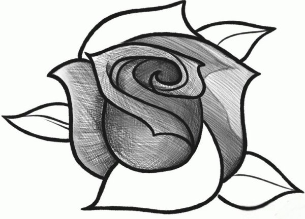 Рисунок розы для срисовки