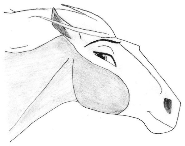 Рисунок очень легкий коня