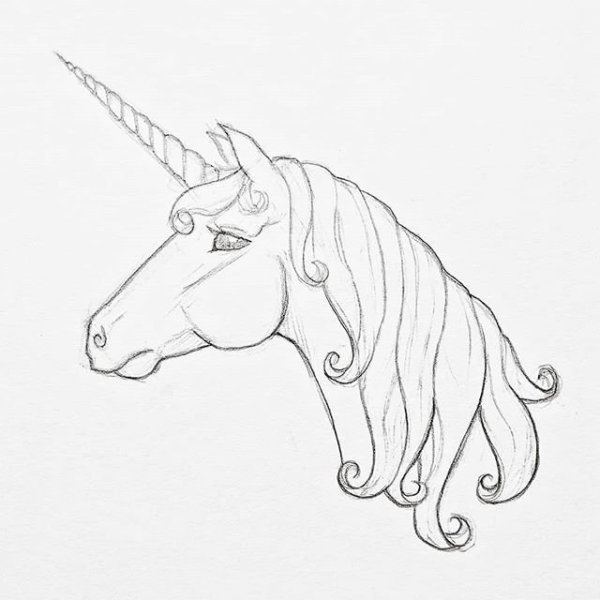 Мордочка единорога