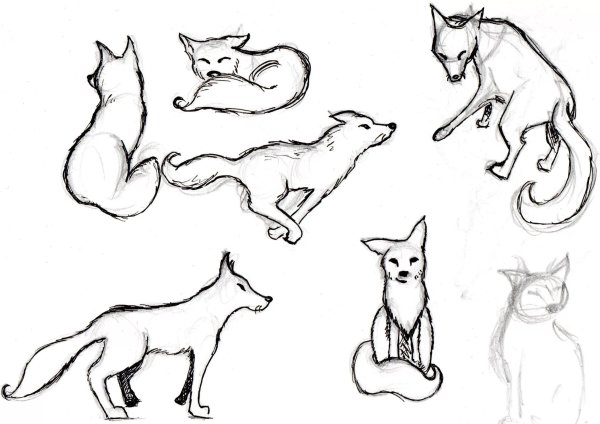 Рисунок лисы для срисовки легкие