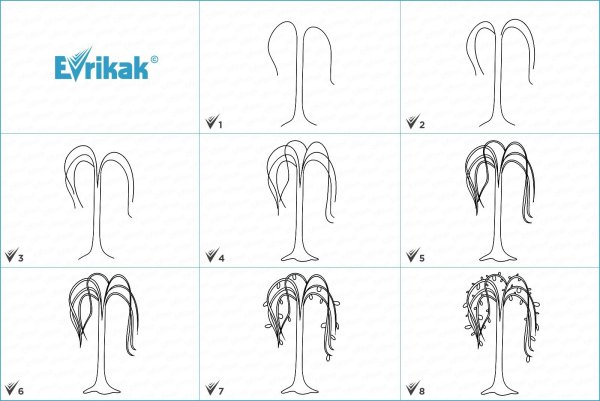 Ива рисунок карандашом для детей поэтапно