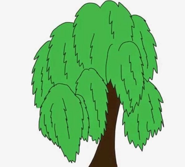 Плакучая Ива карандашом