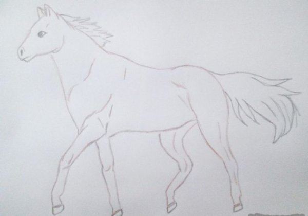 Рисунок очень легкий коня