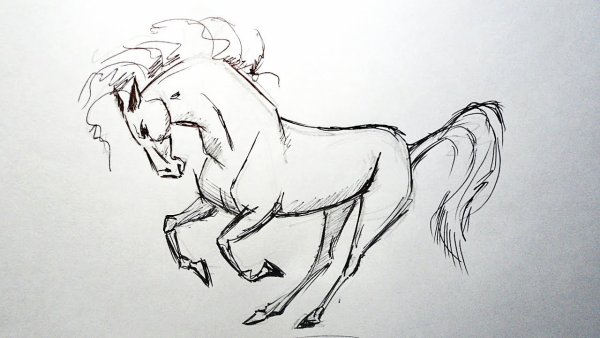 Рисунок лошади карандашом для срисовки