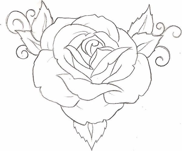 Нарисовать розу