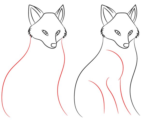 Лиса поэтапное рисование