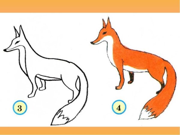 Лиса рисунок карандашом для детей