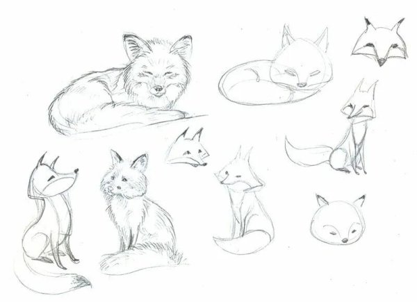 Лиса карандашом пошагово