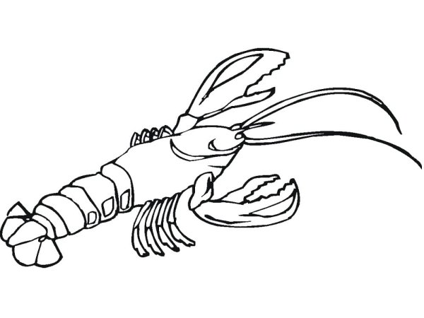 Омар раскраска