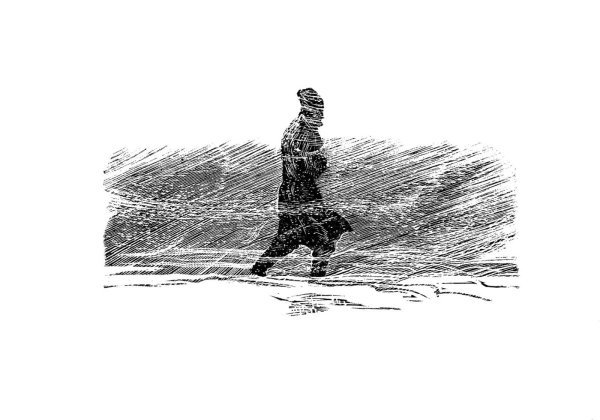 Никита Фаворский иллюстрации Капитанская дочка