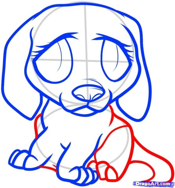 Срисовать собачку