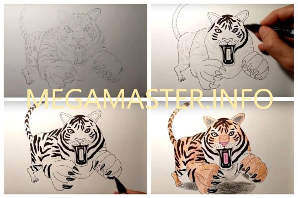 Этапы рисования тигра